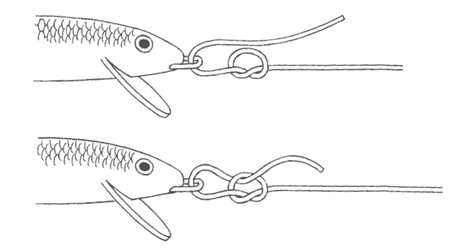 Rapala-Knoten