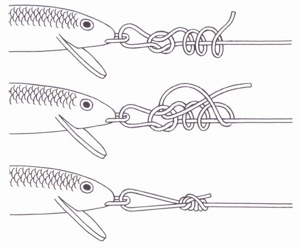 Rapala-Knoten