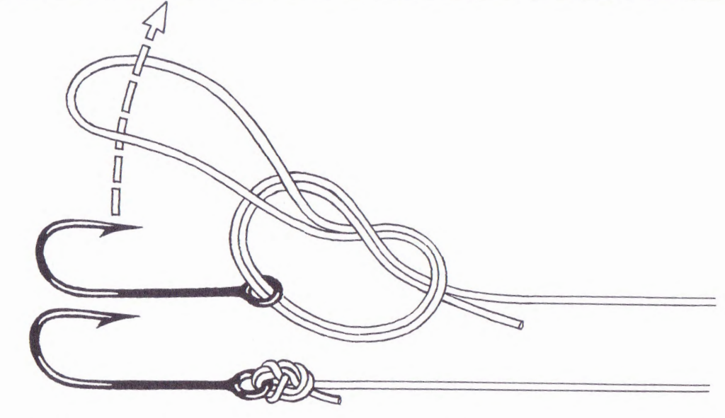 Polomar Knoten